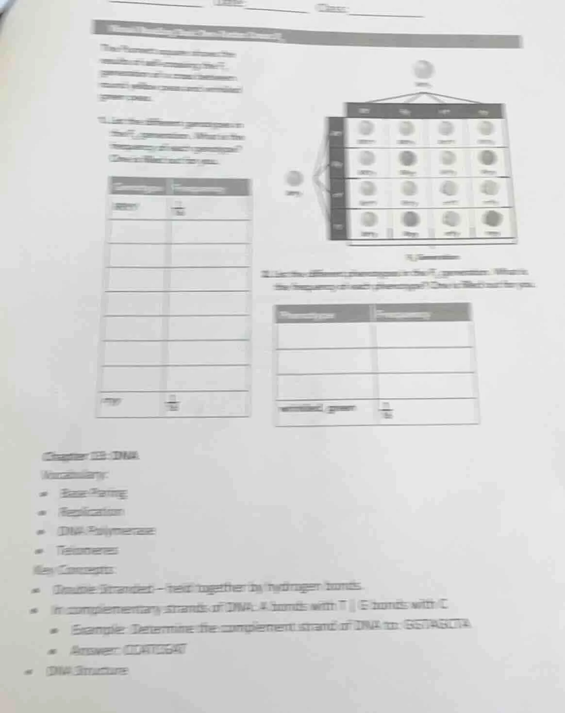 the punnett square shows the results of a self-crossing of the f₁ gener…