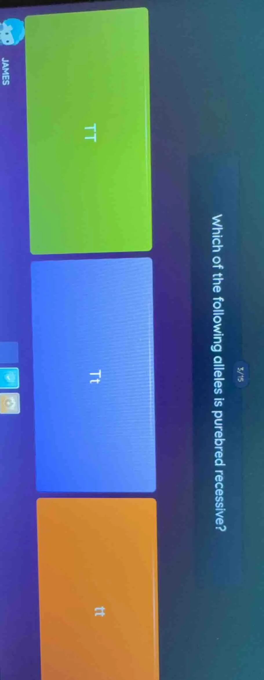 which of the following alleles is purebred recessive? tt tt tt