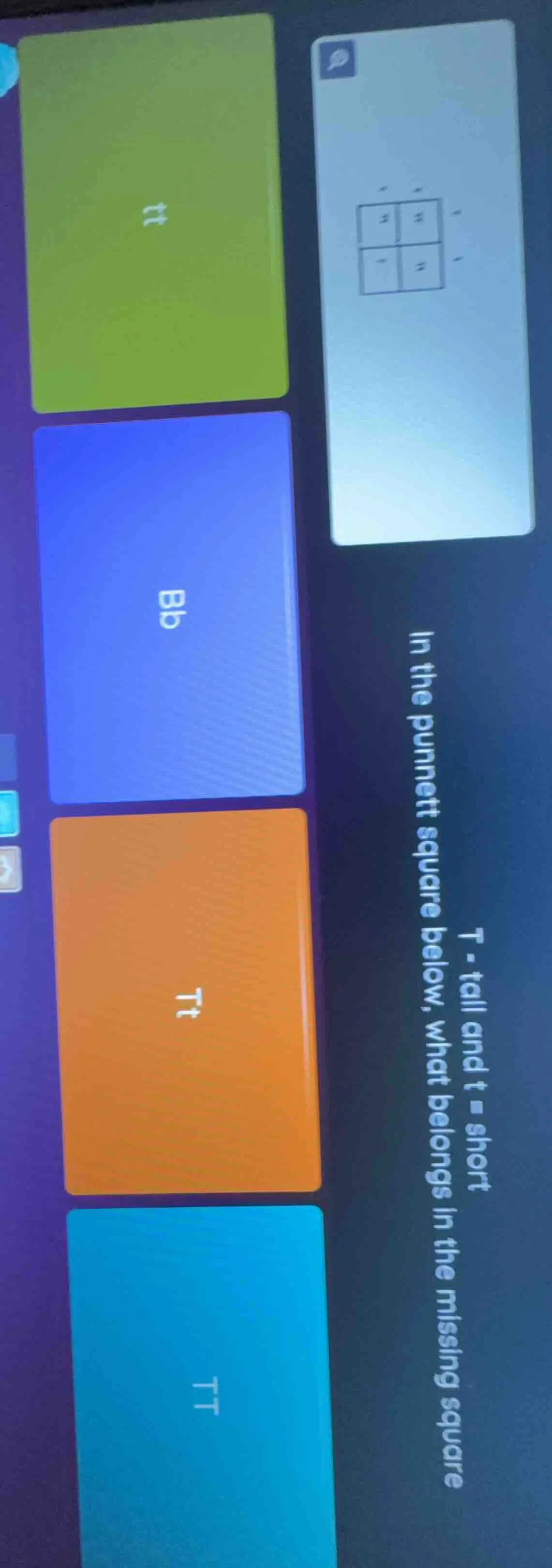 t - tall and t = short in the punnett square below, what belongs in the…