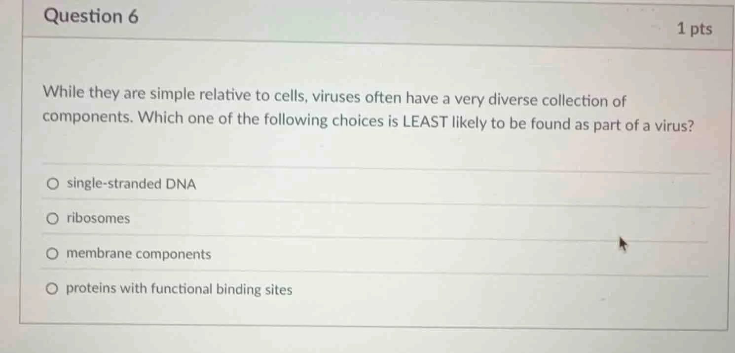 question 6 1 pts while they are simple relative to cells, viruses often…