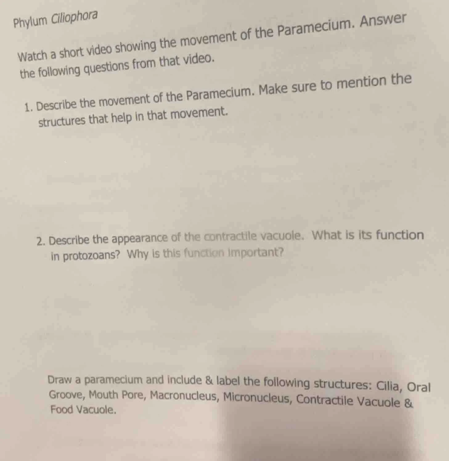 phylum ciliophora watch a short video showing the movement of the param…