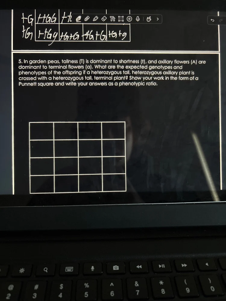 5. in garden peas, tallness (t) is dominant to shortness (t), and axill…