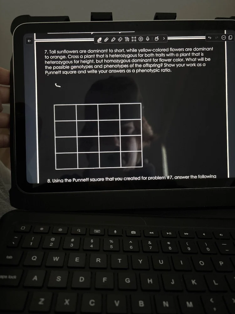 7. tall sunflowers are dominant to short, while yellow-colored flowers …