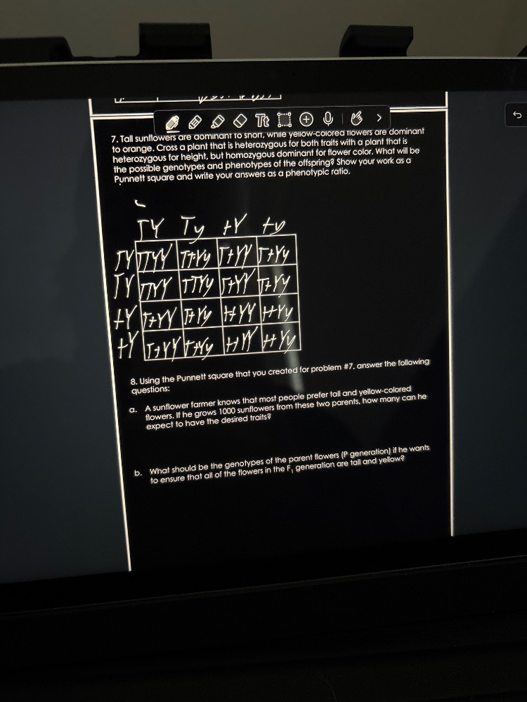 7. tall sunflowers are dominant to short, while yellow-colored flowers …