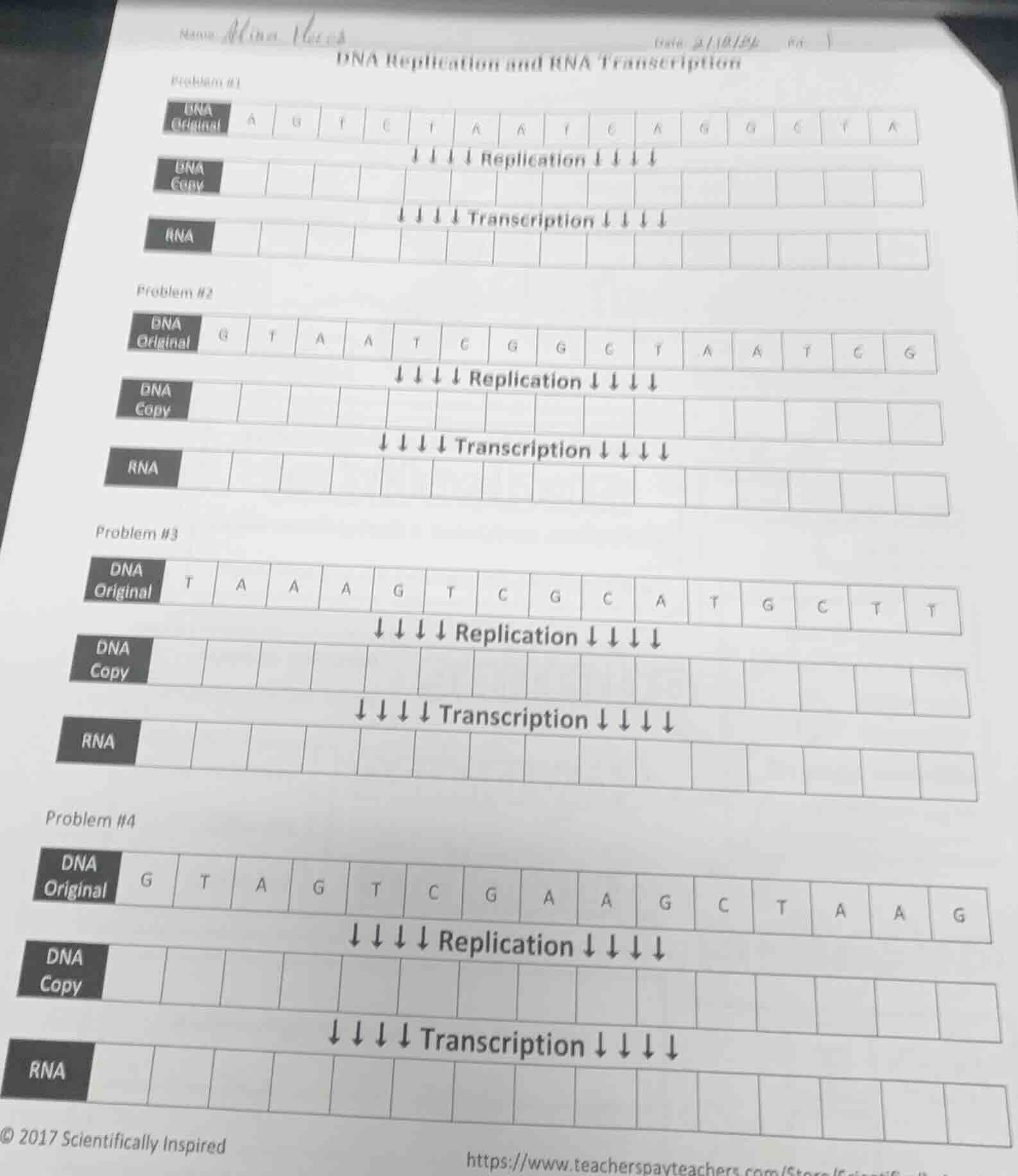 name mina velezdate 2/18/22 no. 1dna replication and rna transcriptionp…