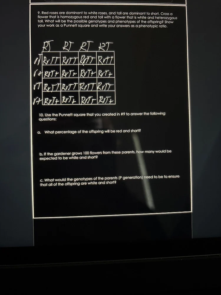 9. red roses are dominant to white roses, and tall are dominant to shor…