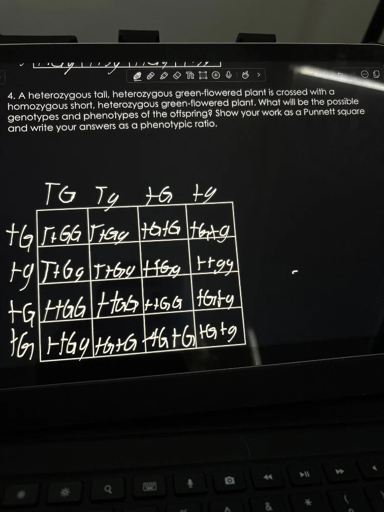 4. a heterozygous tall, heterozygous green-flowered plant is crossed wi…