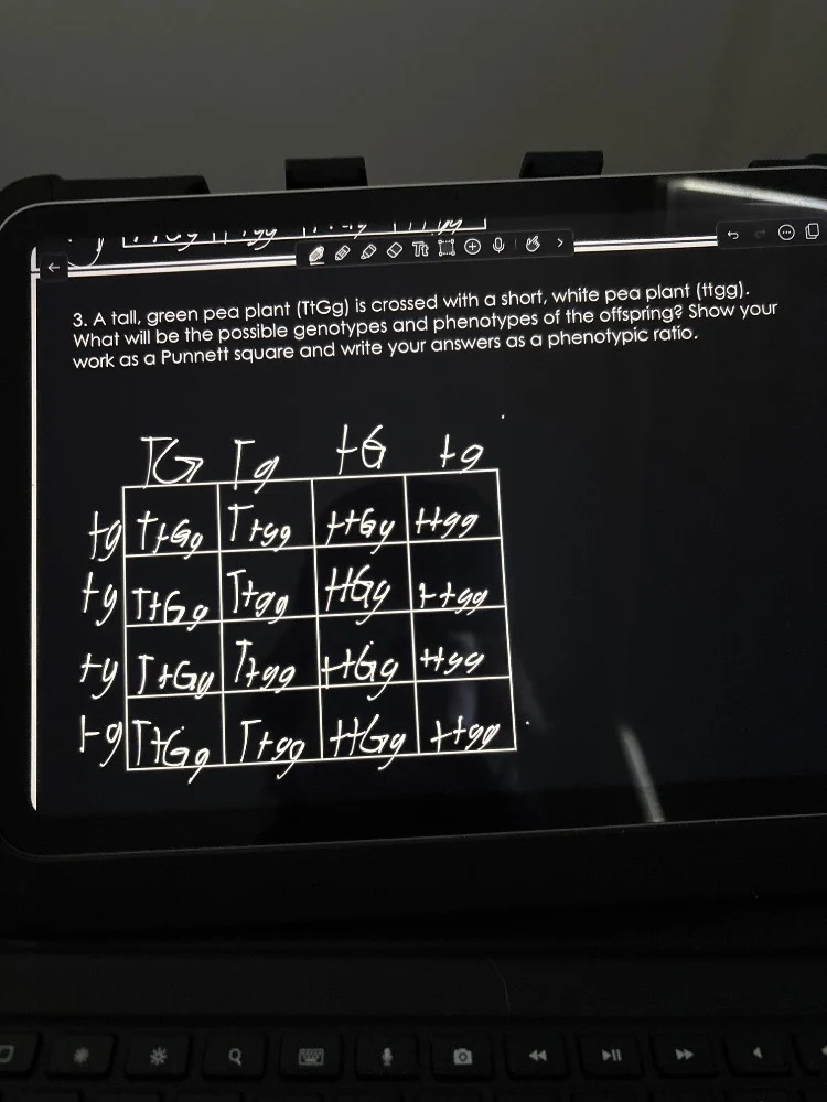 3. a tall, green pea plant (ttgg) is crossed with a short, white pea pl…