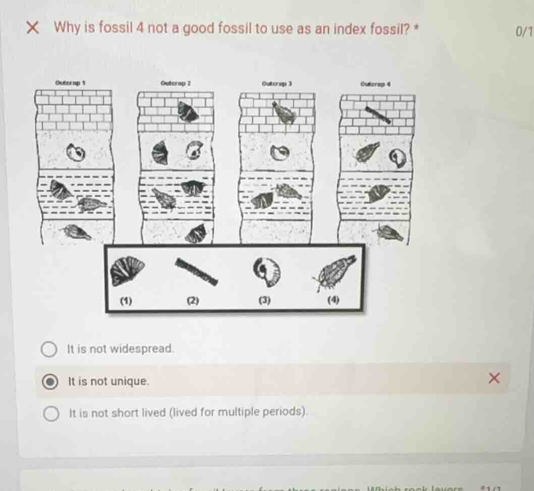 why is fossil 4 not a good fossil to use as an index fossil? *outcrop 1…