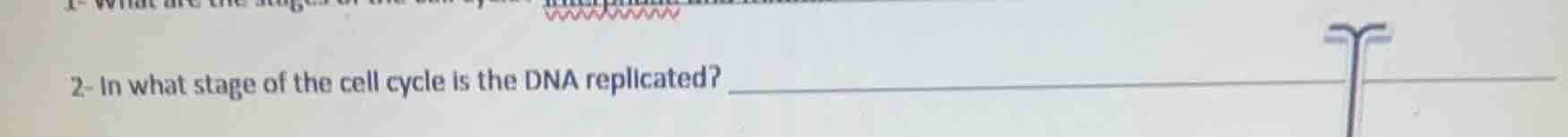 1- what are the stages of the cell cycle?2- in what stage of the cell c…