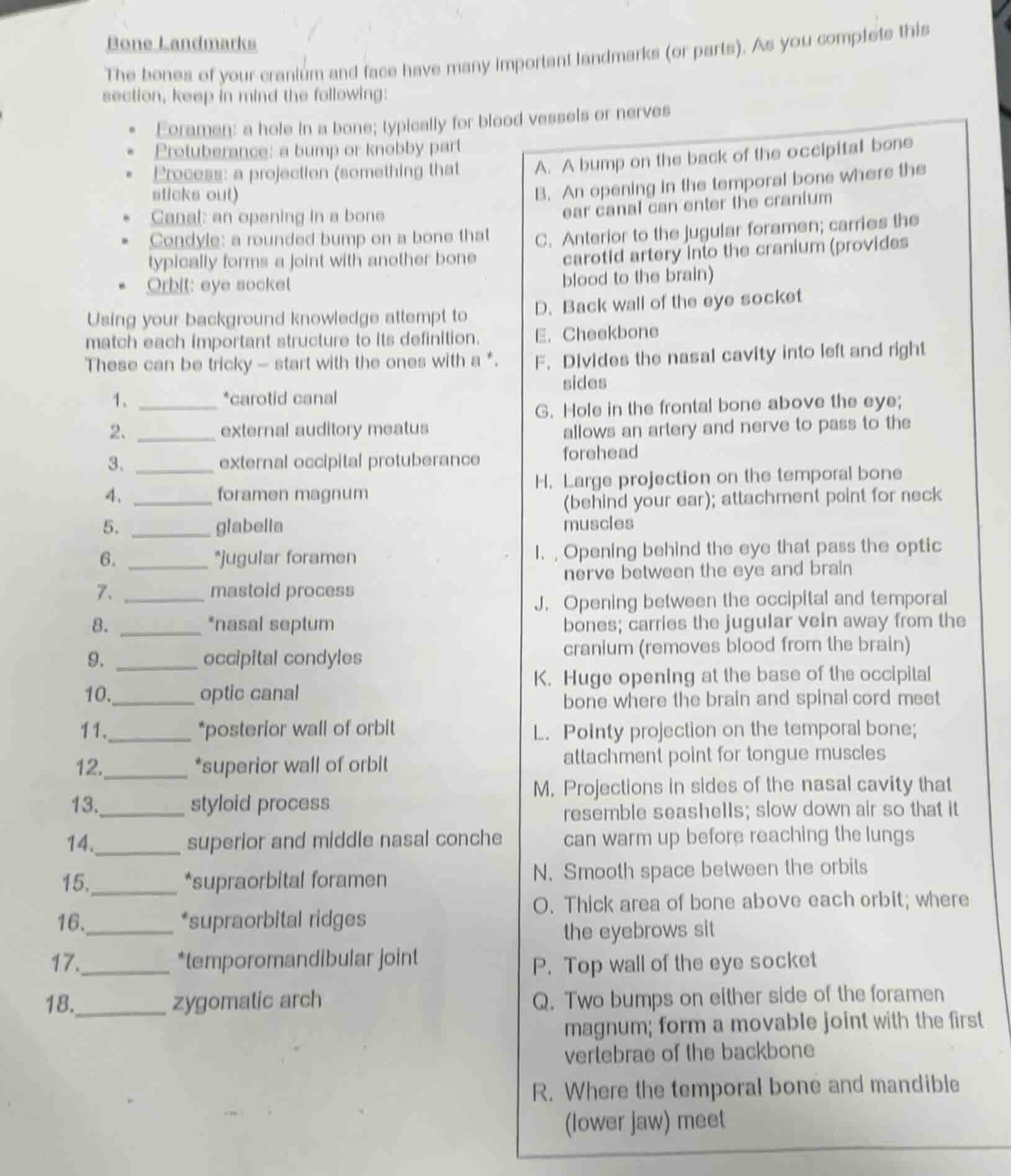 bone landmarks the bones of your cranium and face have many important l…