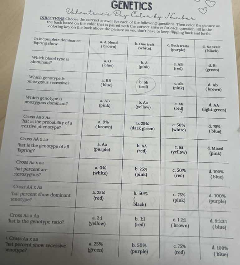 genetics valentines day color by number directions choose the correct a…