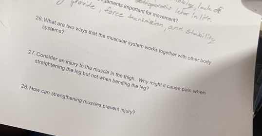 26. what are two ways that the muscular system works together with othe…