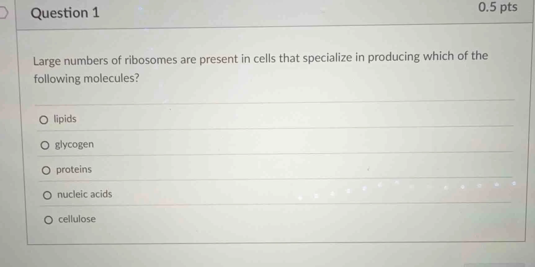 question 1 0.5 pts large numbers of ribosomes are present in cells that…