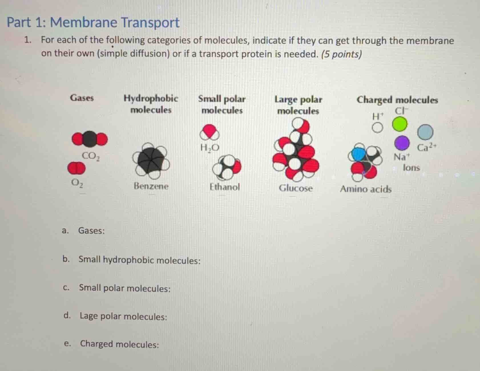 part 1: membrane transport 1. for each of the following categories of m…