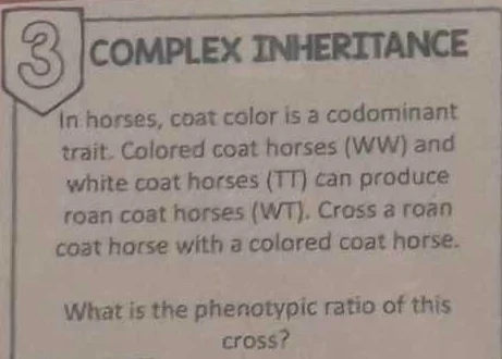 3 complex inheritance in horses, coat color is a codominant trait. colo…