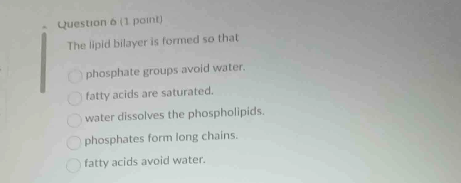 question 6 (1 point) the lipid bilayer is formed so that phosphate grou…