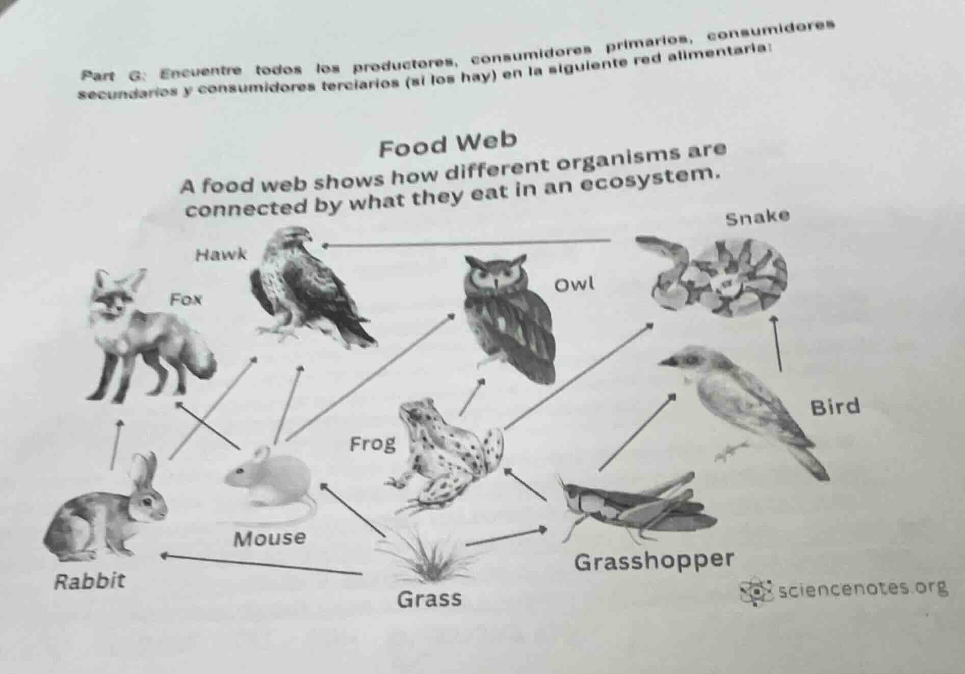 part g: encuentre todos los productores, consumidores primarios, consum…