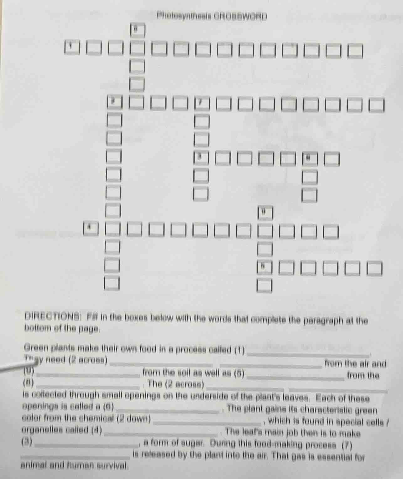 photosynthesis crossword directions: fill in the boxes below with the w…
