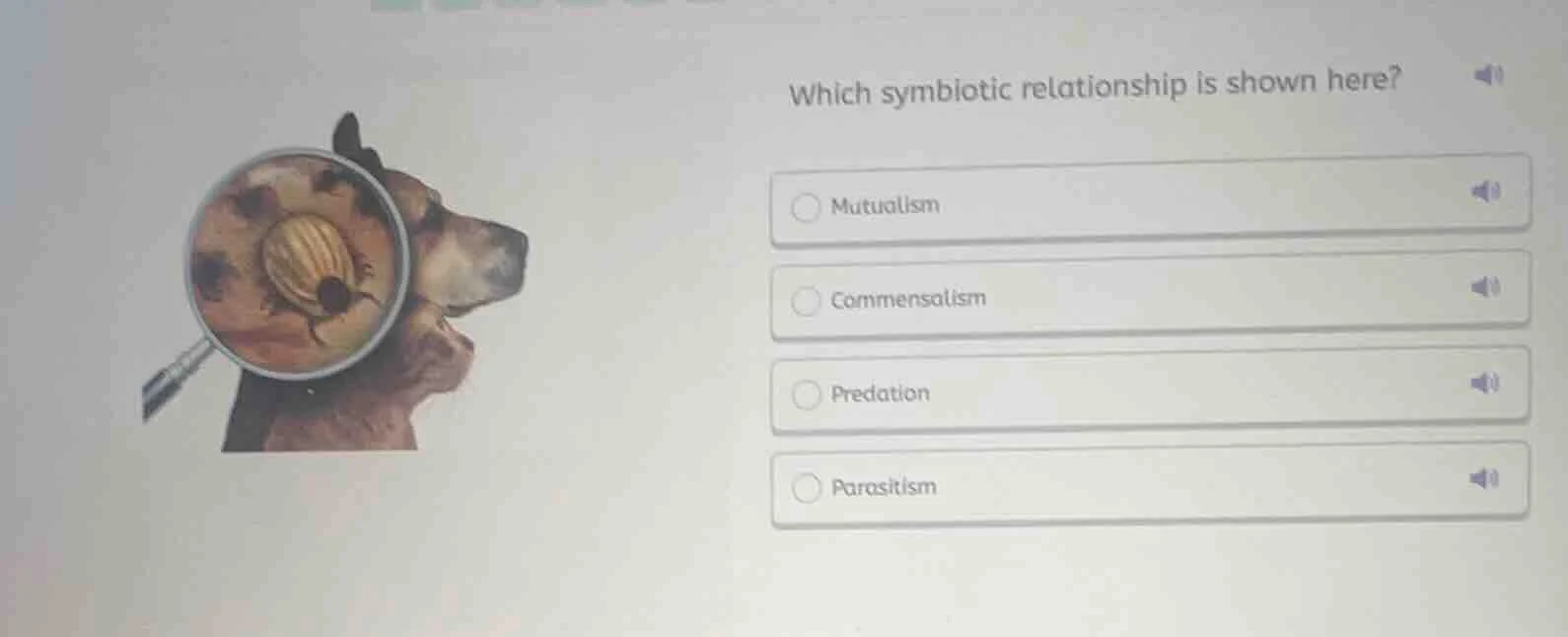 which symbiotic relationship is shown here?mutualismcommensalismpredati…