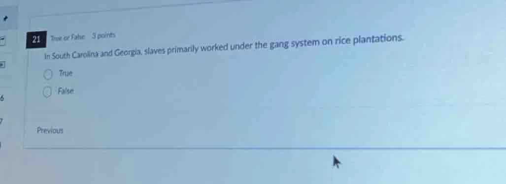 21 true or false 3 points in south carolina and georgia, slaves primari…