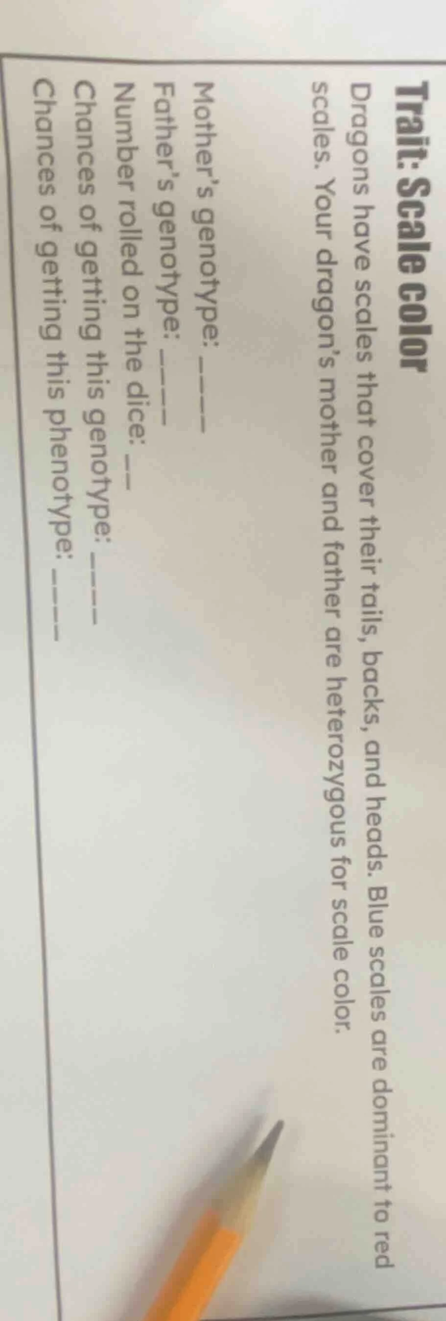 trait: scale color dragons have scales that cover their tails, backs, a…