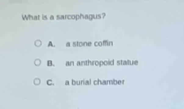 what is a sarcophagus? a. a stone coffin b. an anthropoid statue c. a b…
