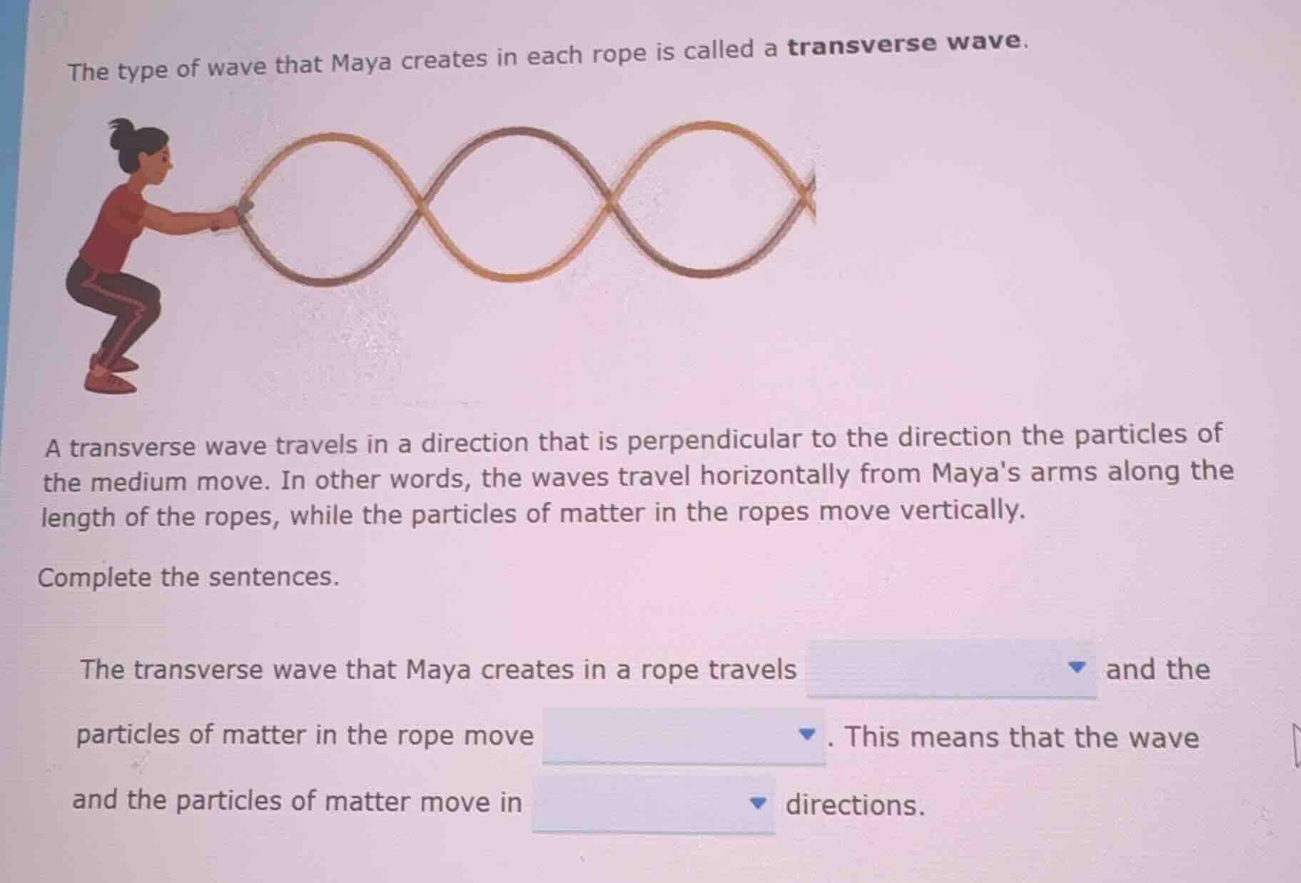 the type of wave that maya creates in each rope is called a transverse …