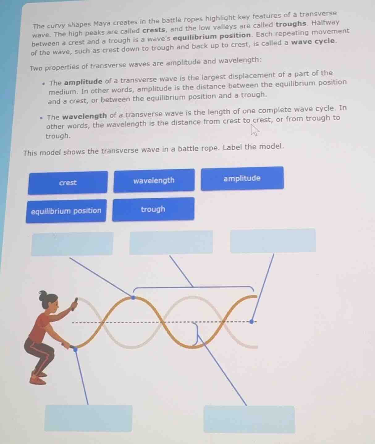 the curvy shapes maya creates in the battle ropes highlight key feature…