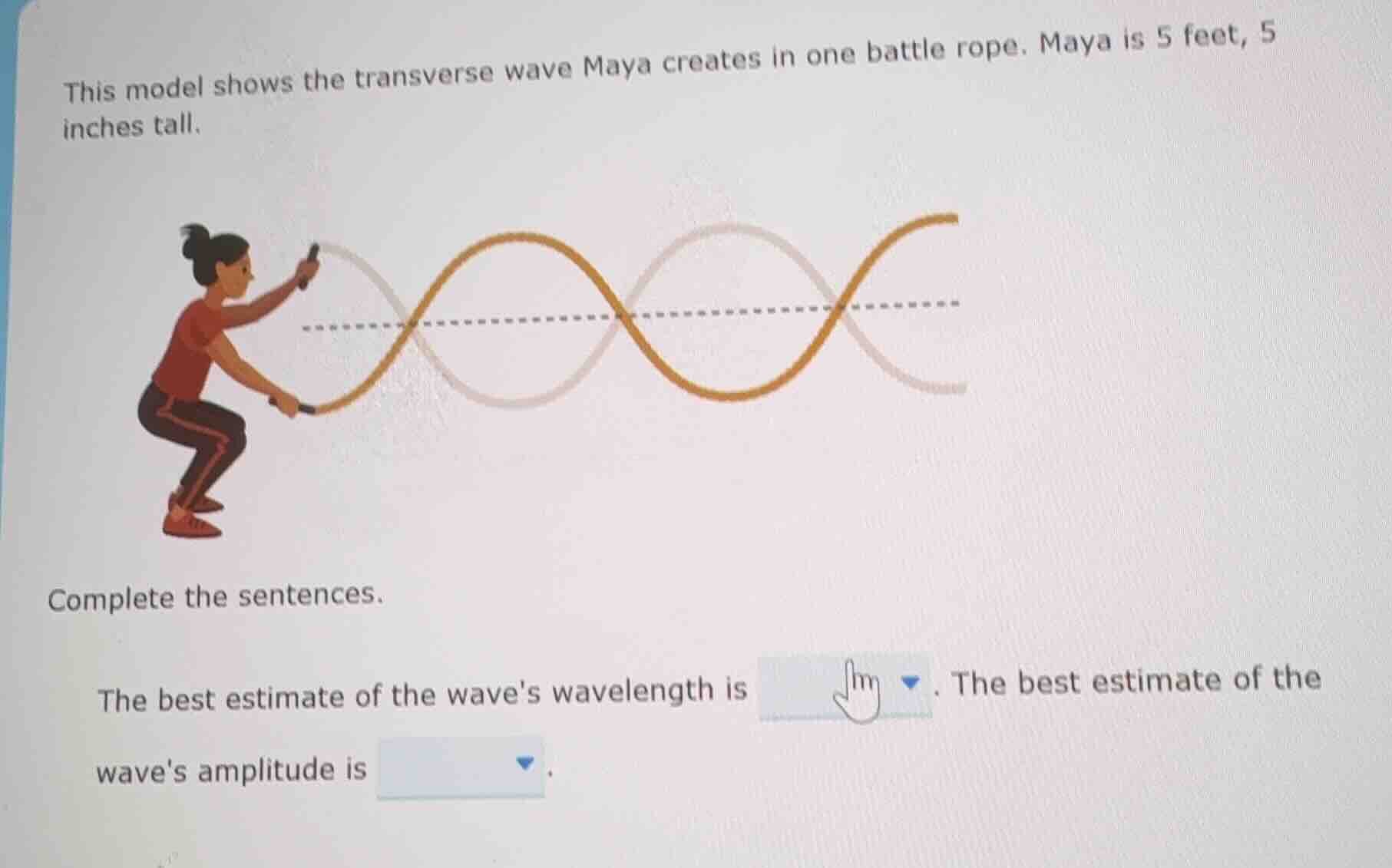 this model shows the transverse wave maya creates in one battle rope. m…