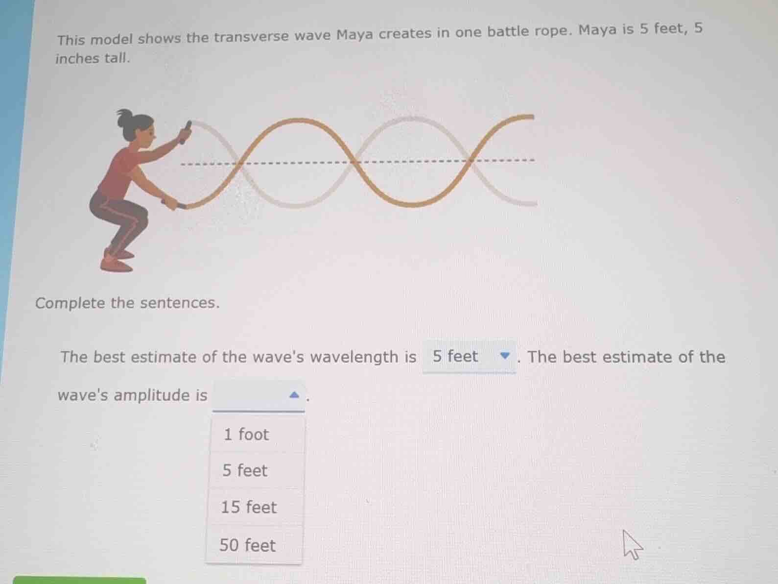 this model shows the transverse wave maya creates in one battle rope. m…