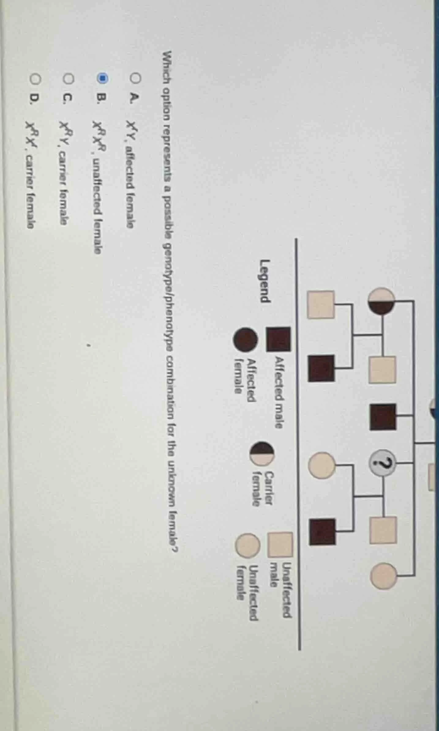 which option represents a possible genotype/phenotype combination for t…
