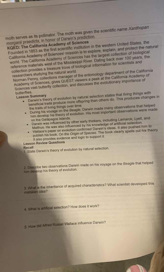 moth serves as its pollinator. the moth was given the scientific name x…